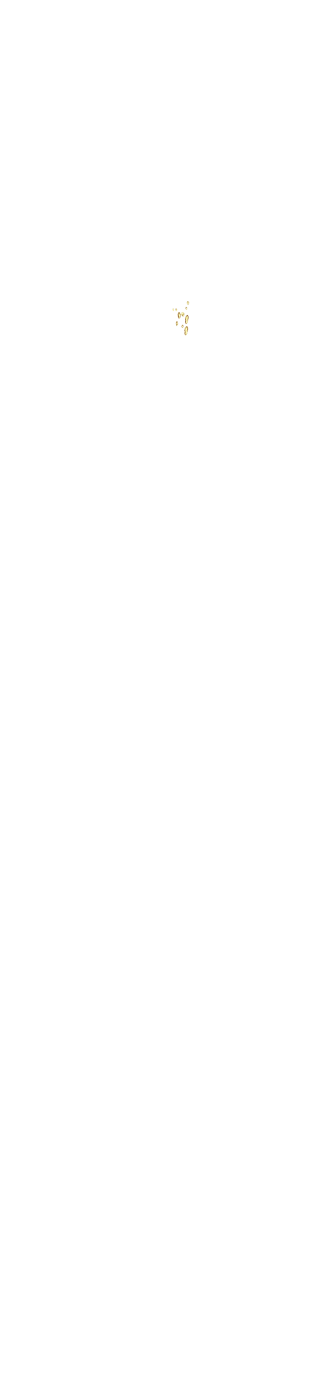 bevictor伟德官网·(中国)唯一官方网站