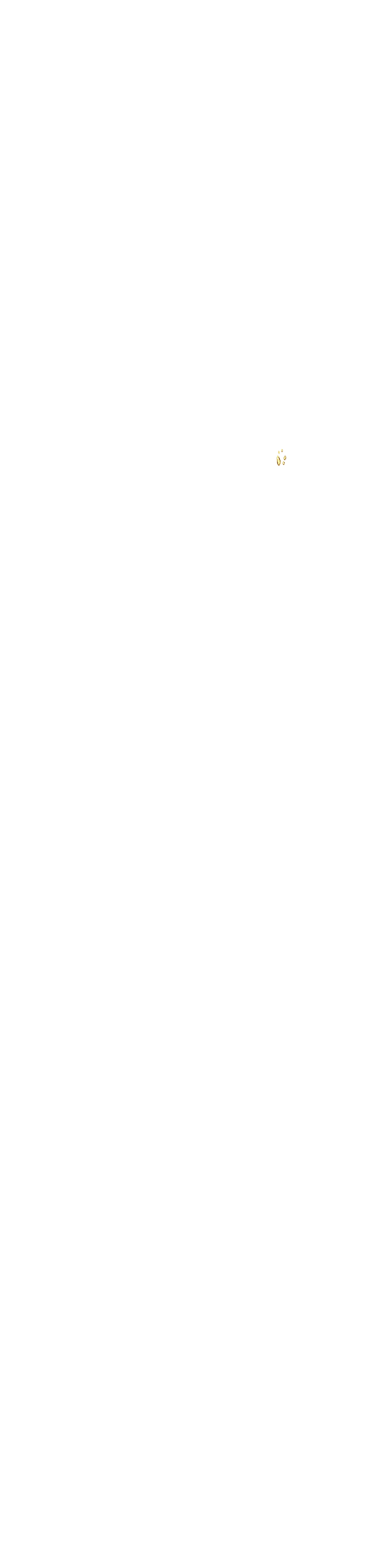 bevictor伟德官网·(中国)唯一官方网站