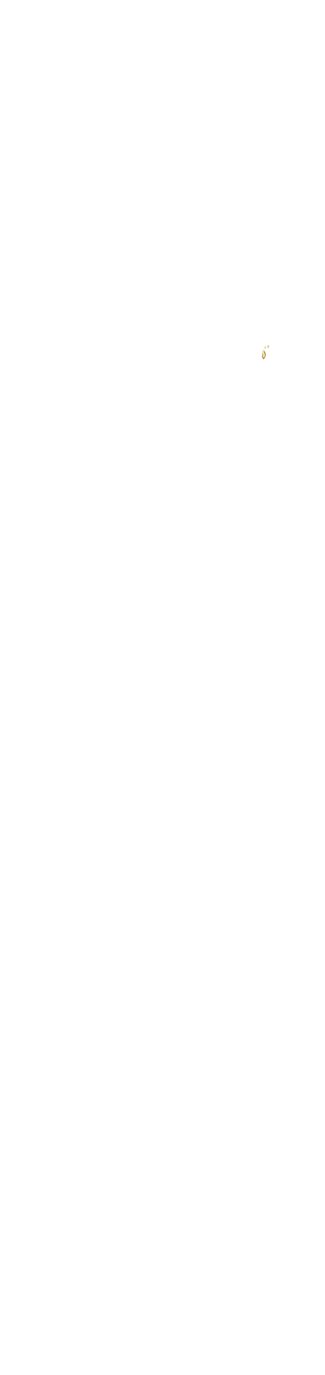 bevictor伟德官网·(中国)唯一官方网站