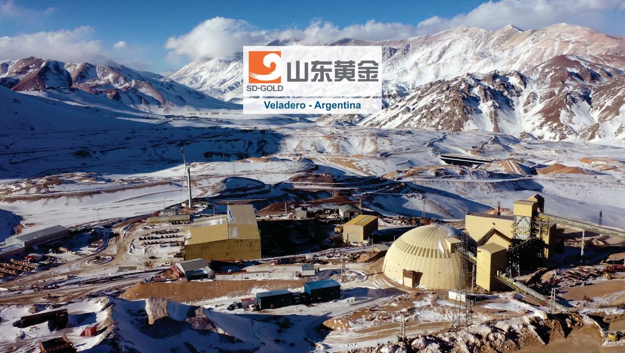 bevictor伟德官网·(中国)唯一官方网站