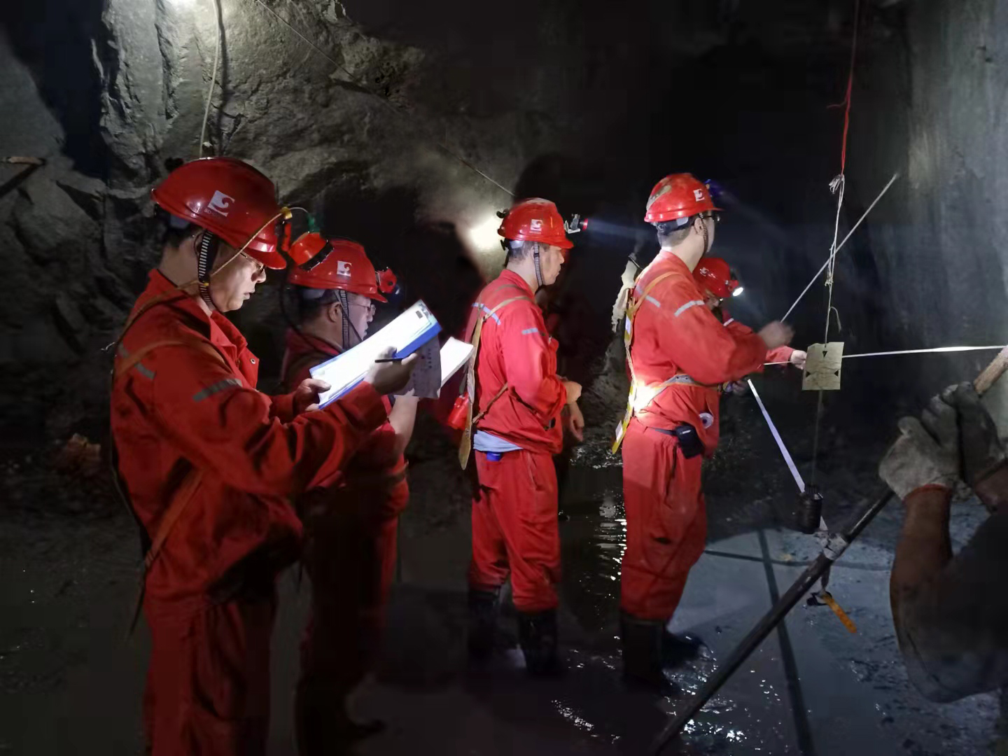 bevictor伟德官网·(中国)唯一官方网站