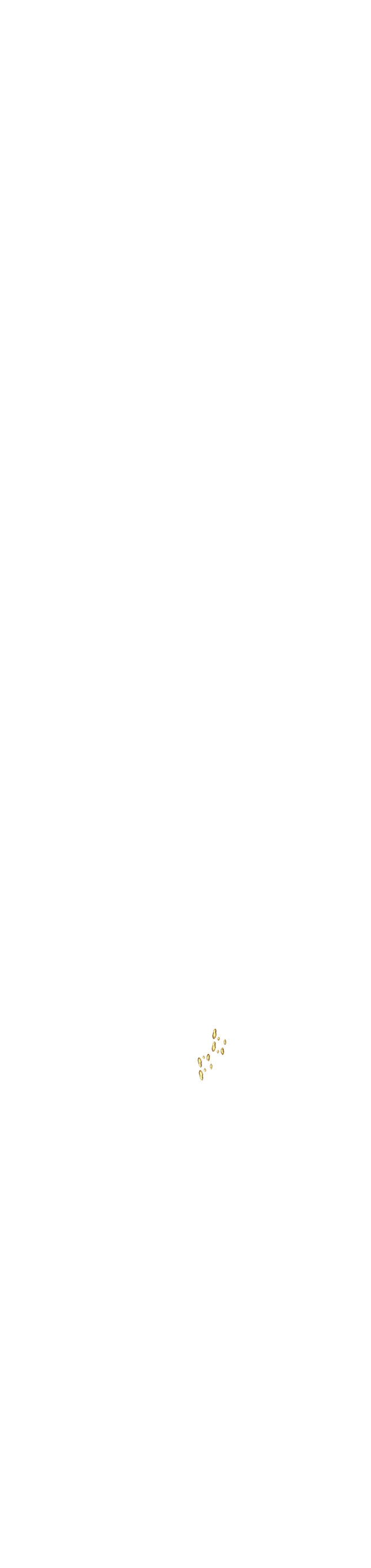 bevictor伟德官网·(中国)唯一官方网站