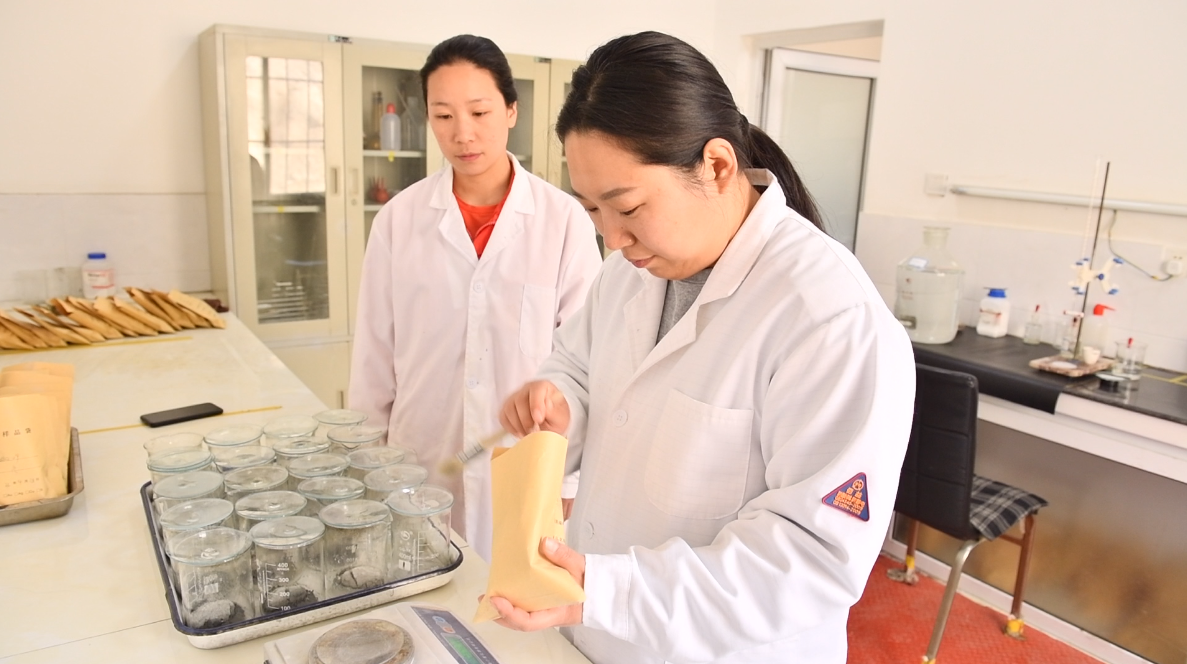 bevictor伟德官网·(中国)唯一官方网站