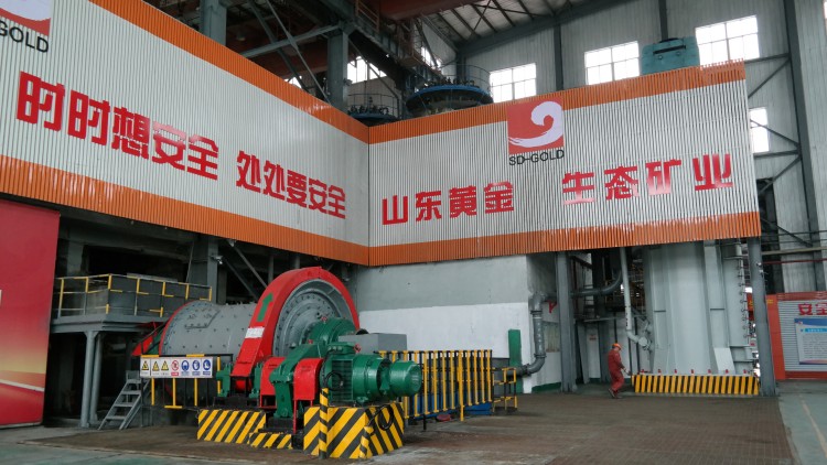 bevictor伟德官网·(中国)唯一官方网站