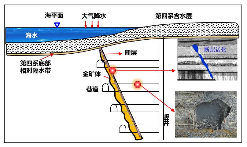 bevictor伟德官网·(中国)唯一官方网站