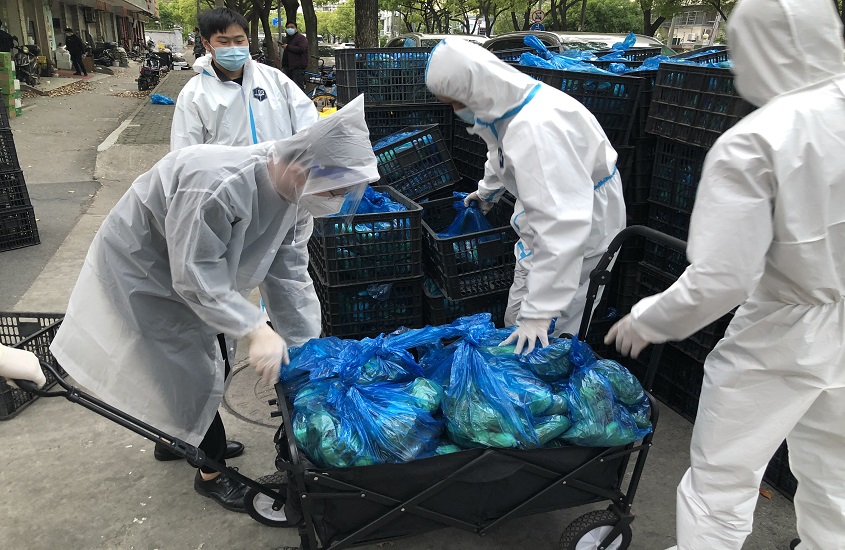 bevictor伟德官网·(中国)唯一官方网站