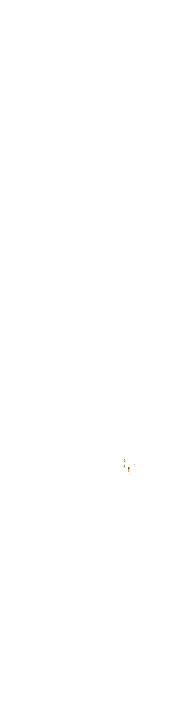 bevictor伟德官网·(中国)唯一官方网站