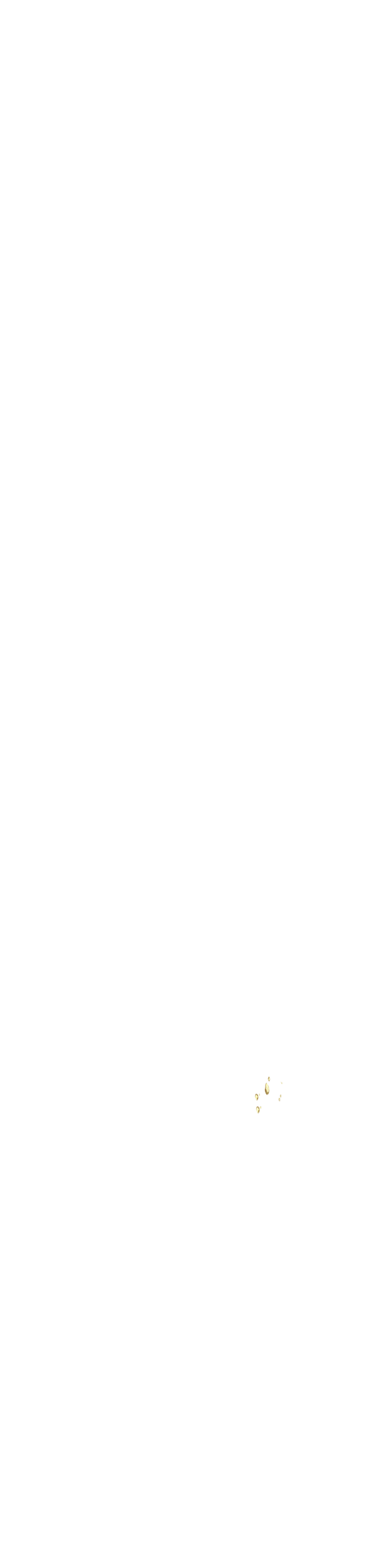 bevictor伟德官网·(中国)唯一官方网站