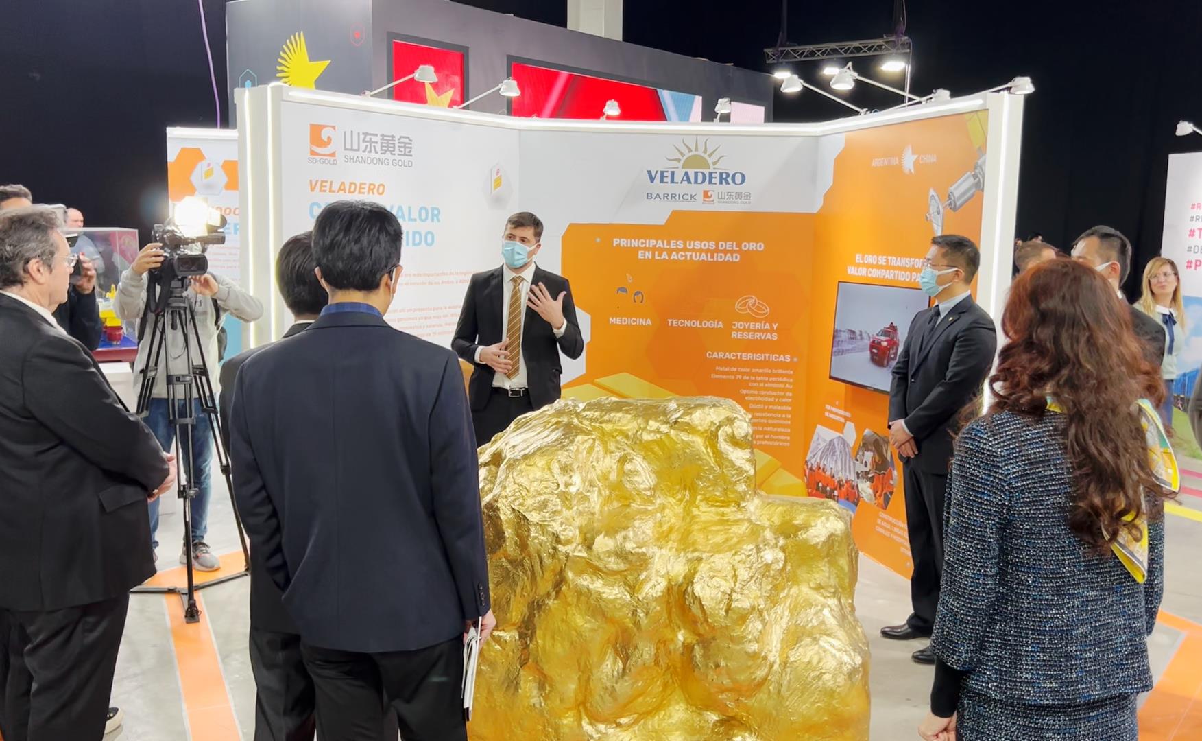 bevictor伟德官网·(中国)唯一官方网站