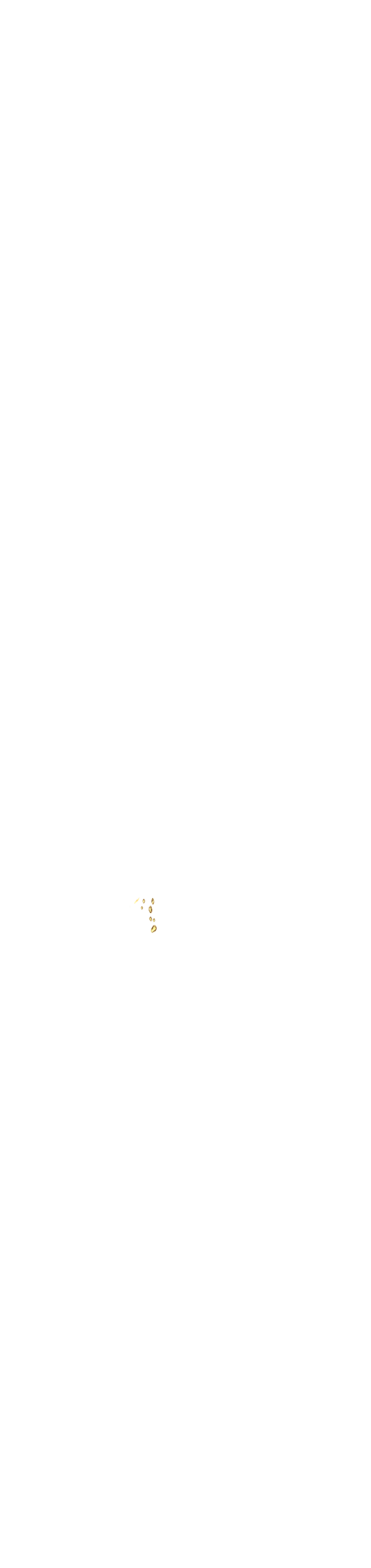 bevictor伟德官网·(中国)唯一官方网站
