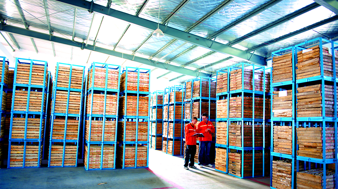 bevictor伟德官网·(中国)唯一官方网站