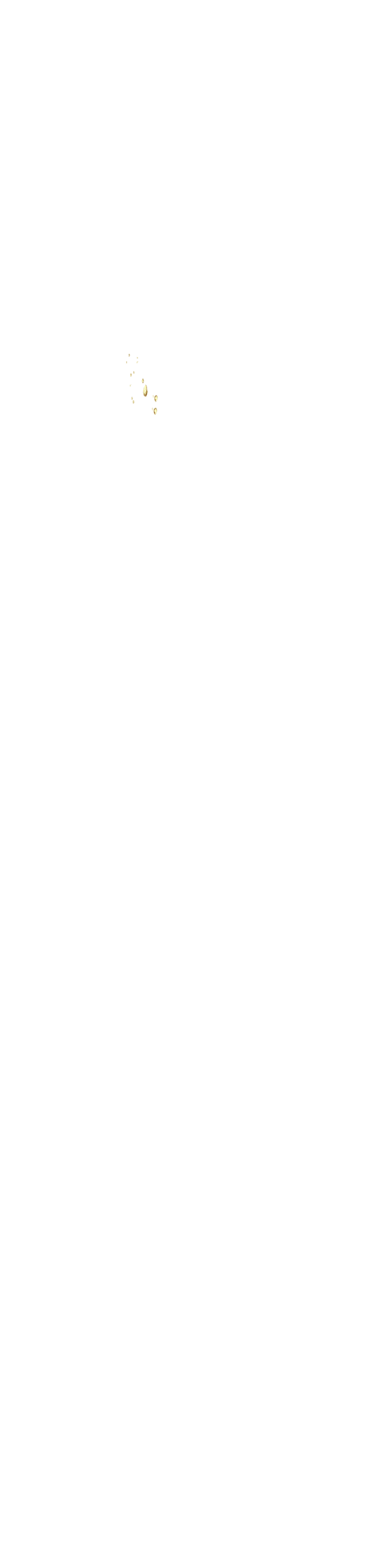 bevictor伟德官网·(中国)唯一官方网站