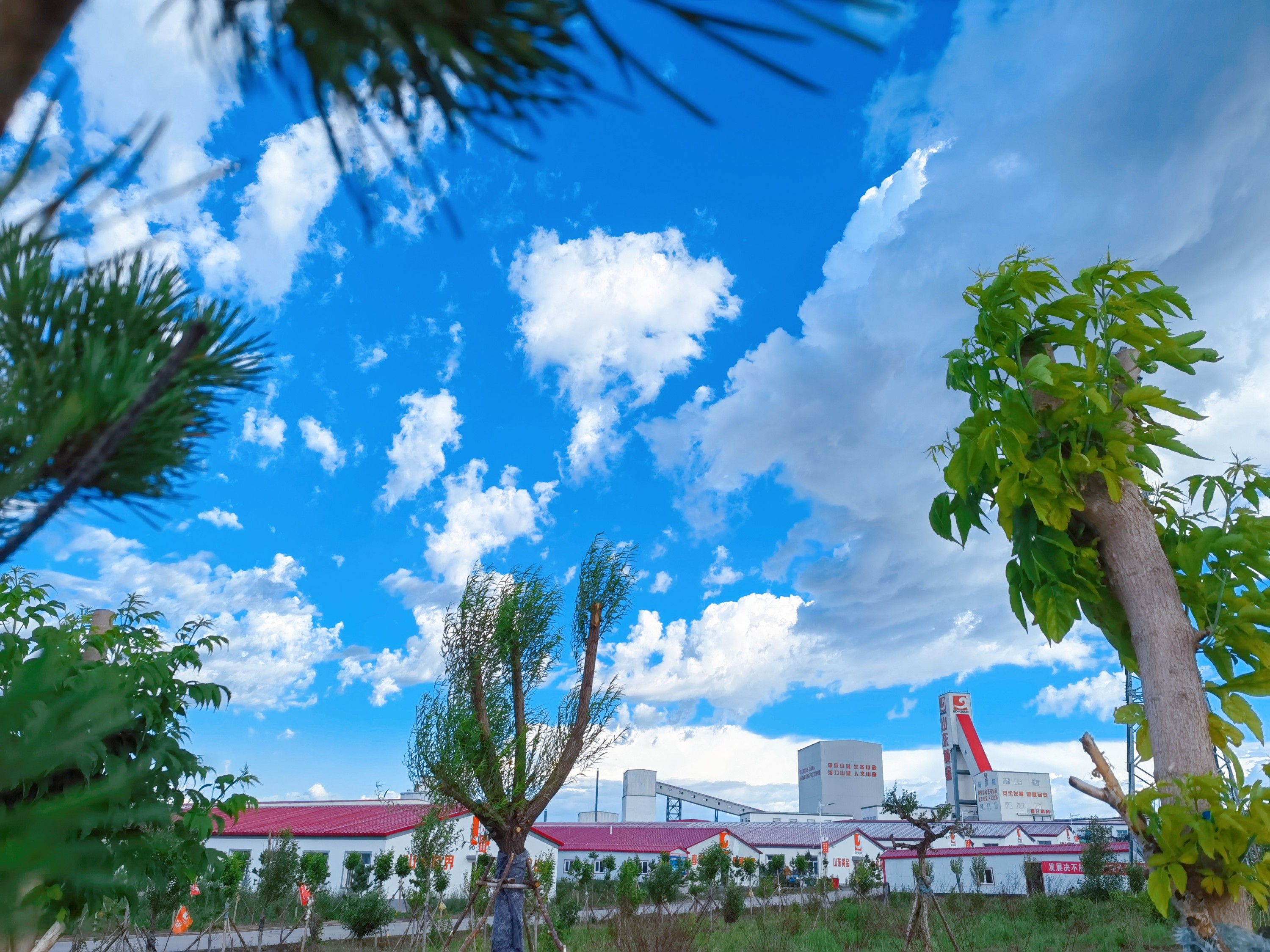 bevictor伟德官网·(中国)唯一官方网站