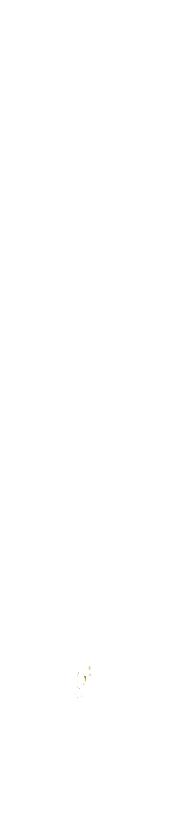 bevictor伟德官网·(中国)唯一官方网站