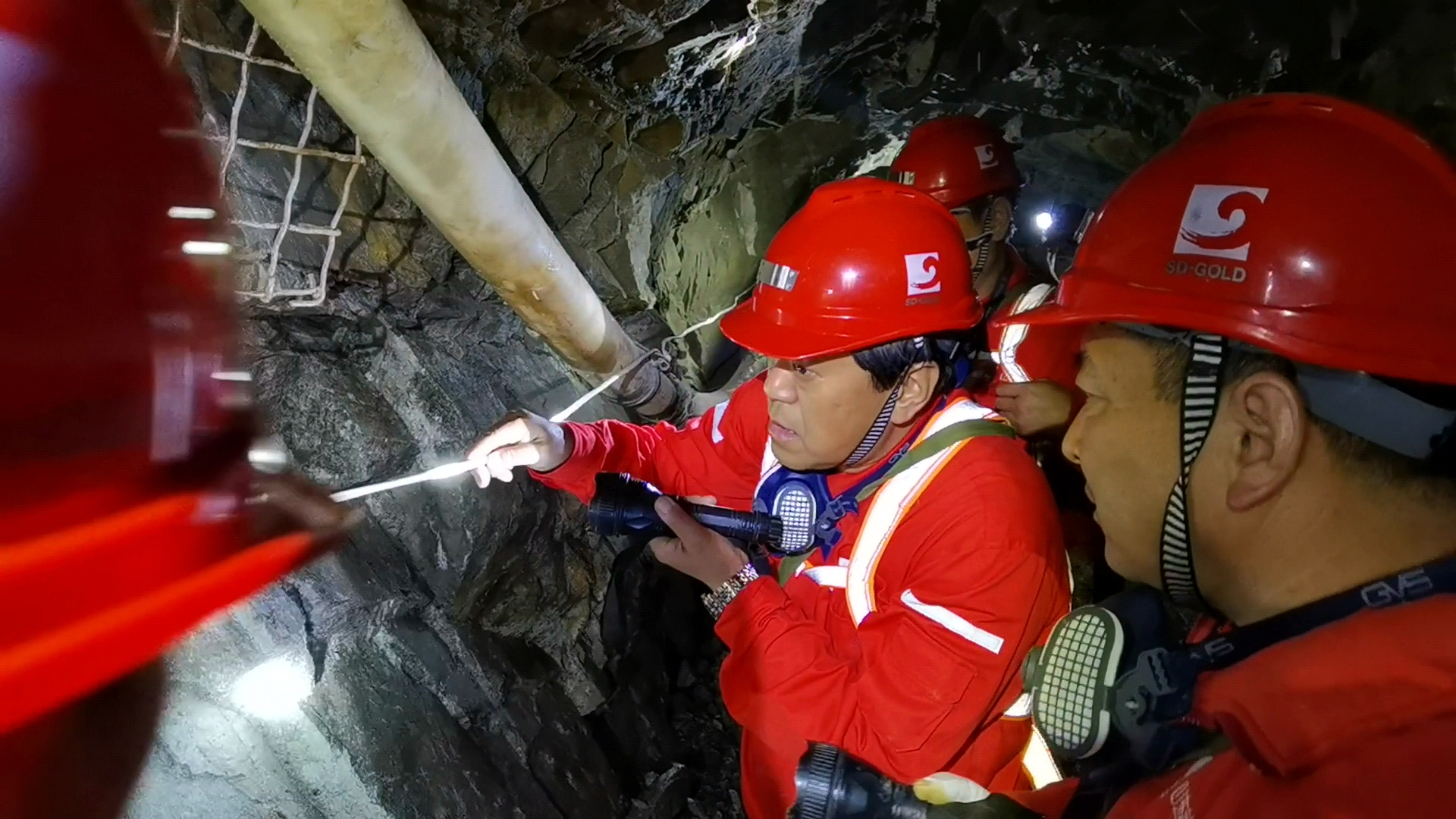 bevictor伟德官网·(中国)唯一官方网站