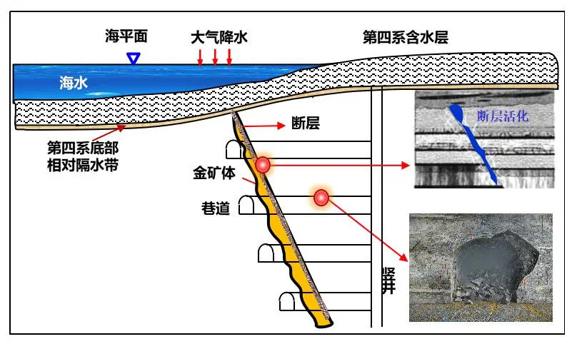 bevictor伟德官网·(中国)唯一官方网站